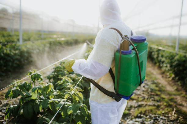 Best Exterminator Services  in Yreka, CA